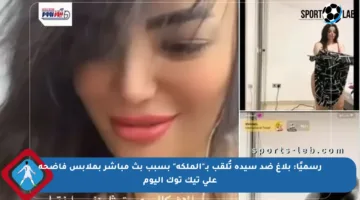 رسميًا: بلاغ ضد سيدة تُلقب بـ”الملكة” بسبب بث مباشر بملابس فاضحة على تيك توك اليوم
